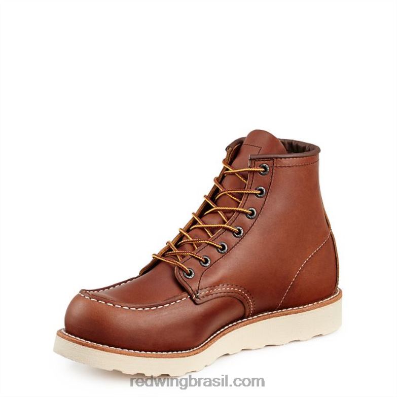cinto de couro estilo 96548 cinto masculino em couro dakota marrom DRV6019 Red Wing