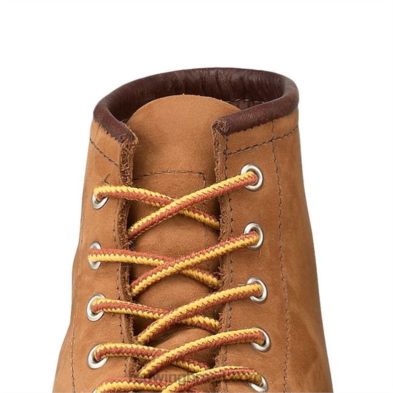 estilo 97151 renda taslan de 63 polegadas renda unissex em taslan bege/dourado DRV60234 Red Wing